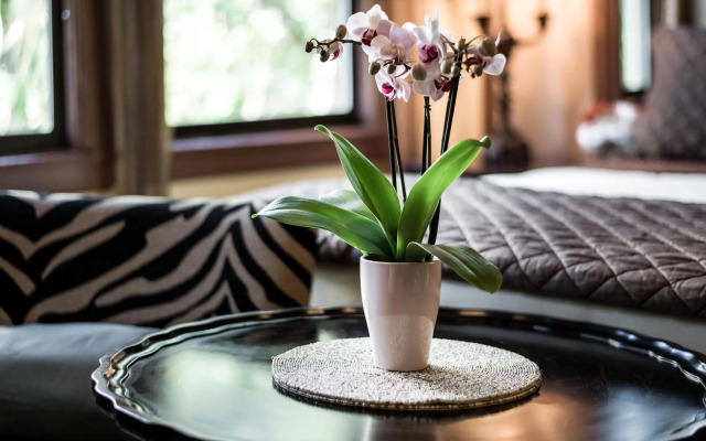 Designer Decorated Palm Beach Hotel NEW