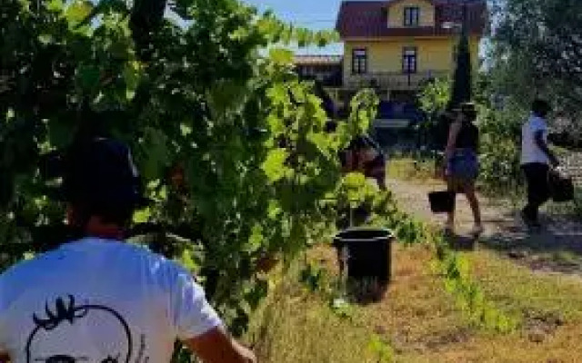 Quinta do Chao D'Ordem