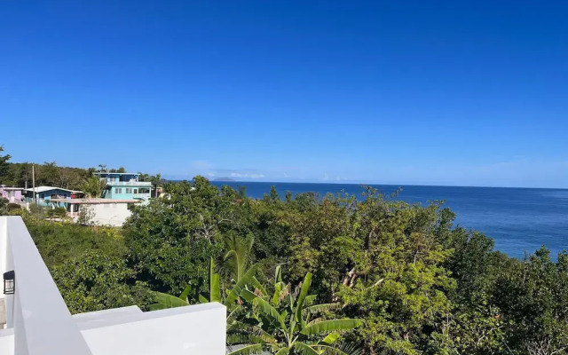 Red Flamboyan Guesthouse