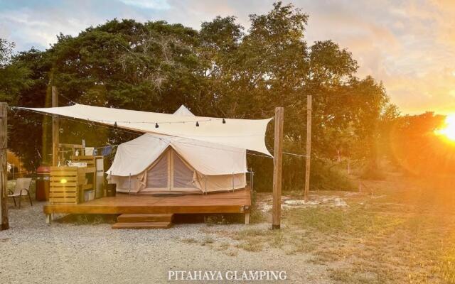 Pitahaya Glamping