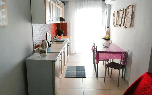 DriftWood Center Apartment