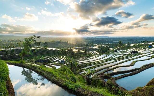 Urban Villa - Joshua District