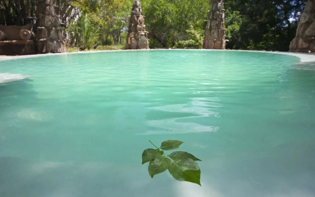 Aha Makalali Private Game Reserve