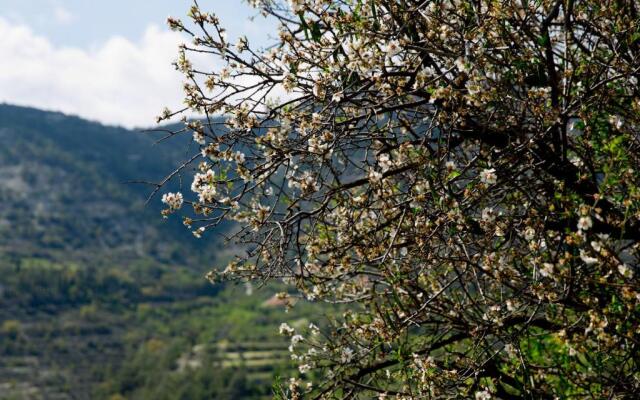 The Old Olive Mill House by TrulyCyprus