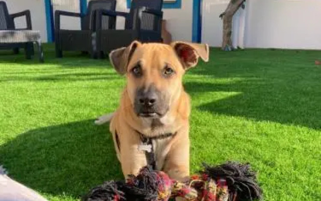 Villa Berlenga, Holidays