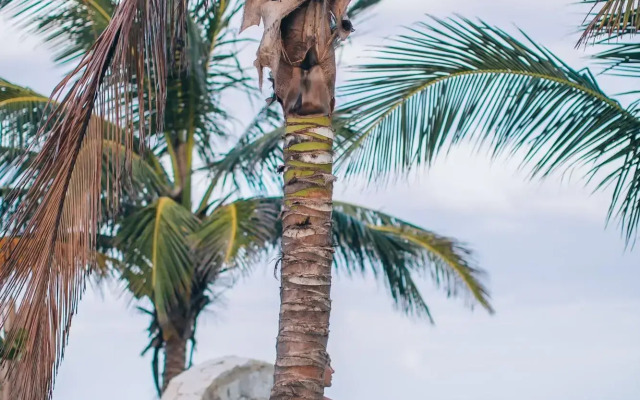 Glamp Ikal Tulum