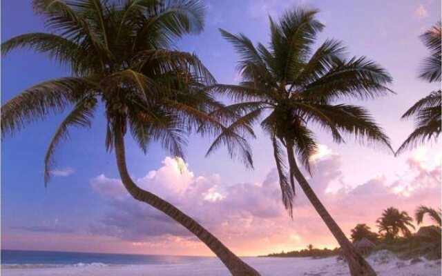 Nasim Condo Hotel acceso Gratis Beach Club, a metros 5th Avenida