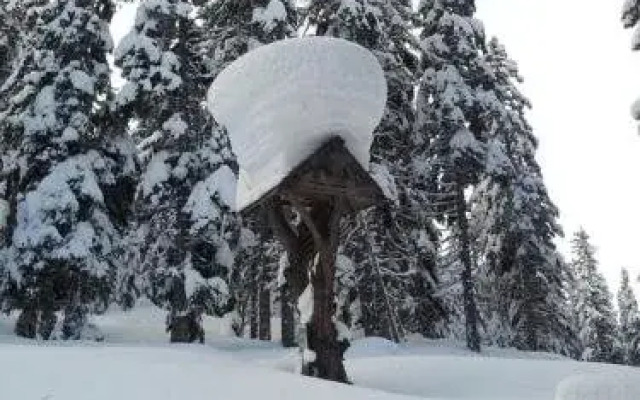 Zimmer im Lungau