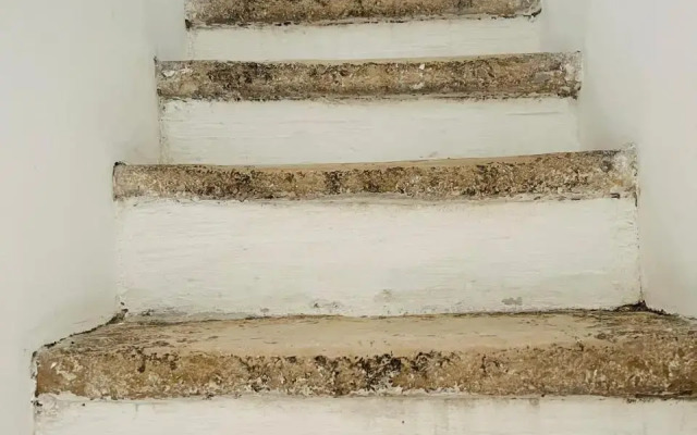 Don Marino Residence