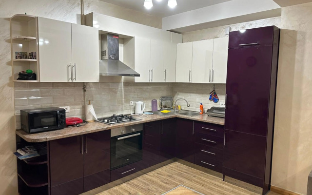 Comfortable apartment in center