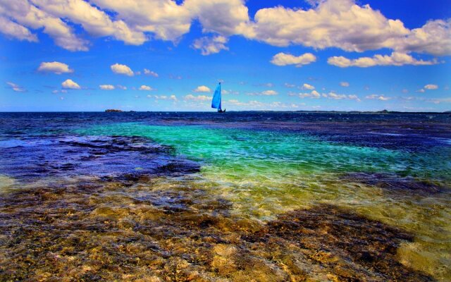 Trinco Blu by Cinnamon