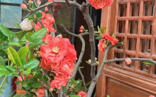 Wudang Mountain Banshan Homestay