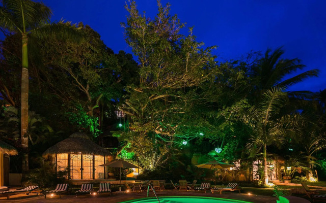 Local Tribe de México