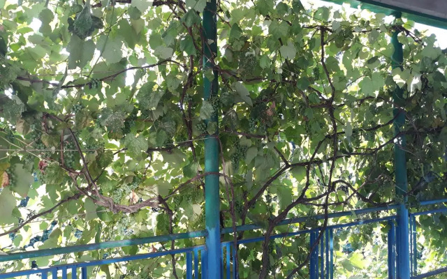Malkhazi's Guesthouse
