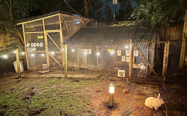 The Base Vegan Retreat