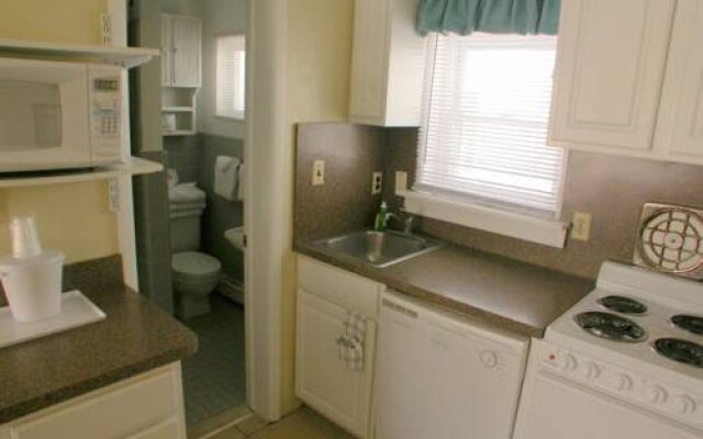 American Safari Motel