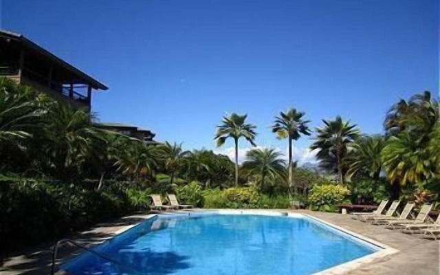 Kapalua Ridge Villa 114 Gold Ocean View