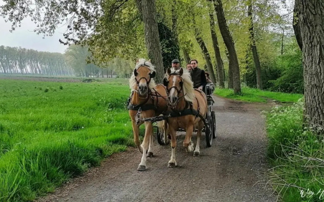 Ten huize Spientje