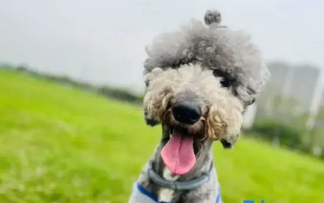 Lochte Hotel Apartment (Shishan Changhua International Branch)