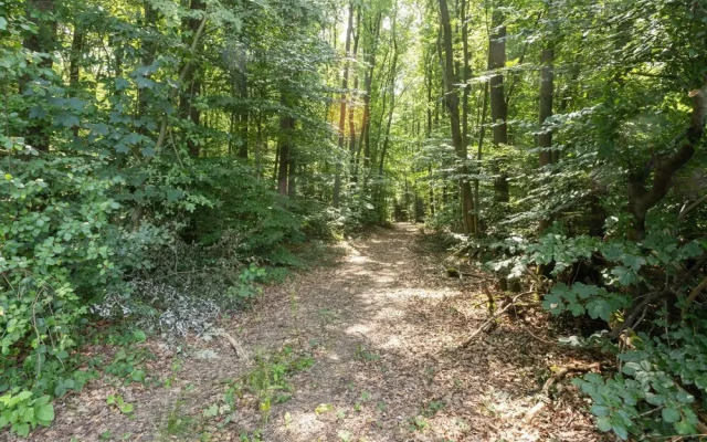 Welcoming Apartment in Hilscheid with Garden