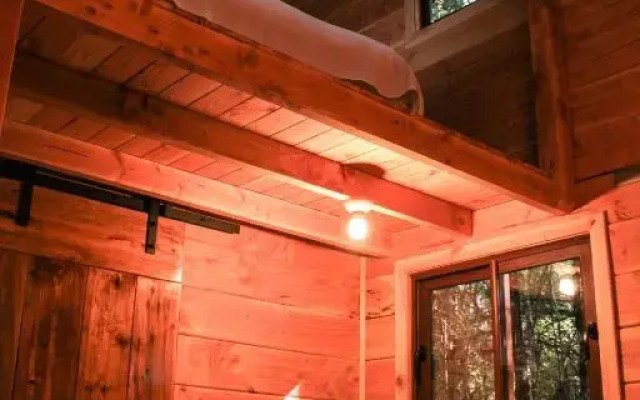 Cabanas Bosque Milenario