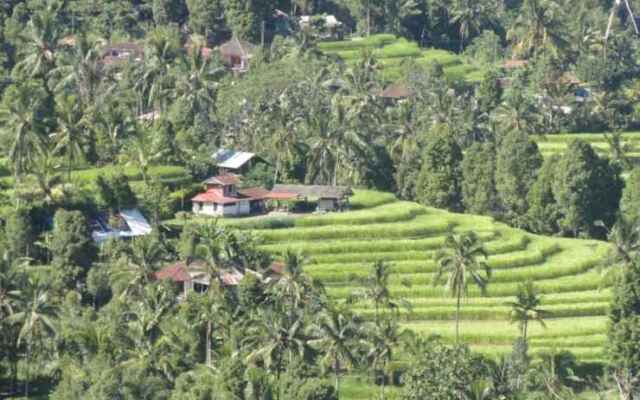 One Homestay and Warung