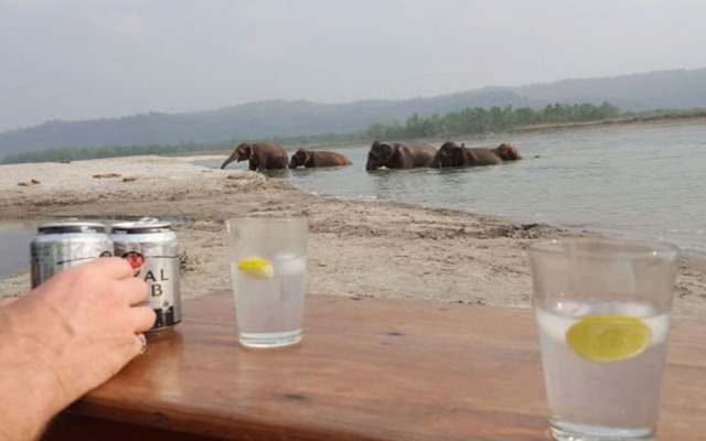Tigertops Elephant Camp