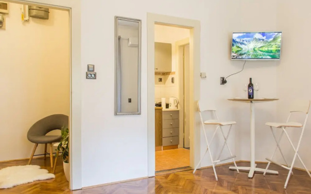 Studio Apartment Vuksa