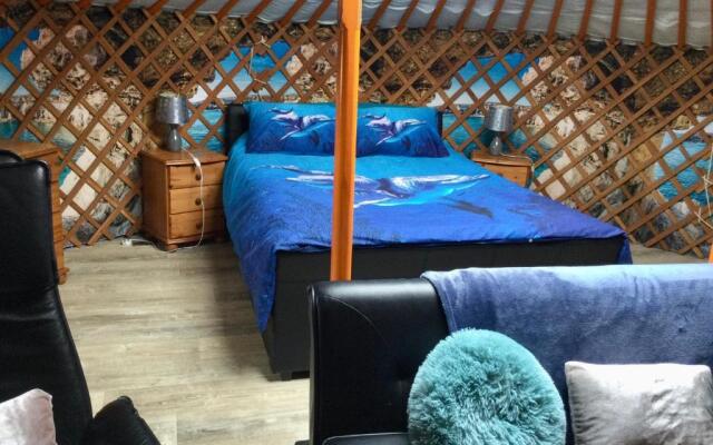 Colourful Mongolian Yurt Enjoy a new Experience,