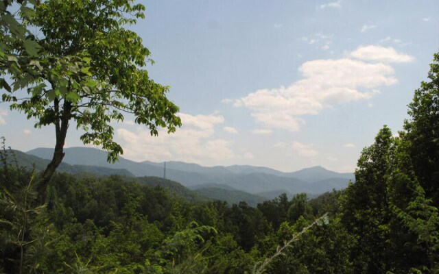 Cubs Cove - One Bedroom Cabin