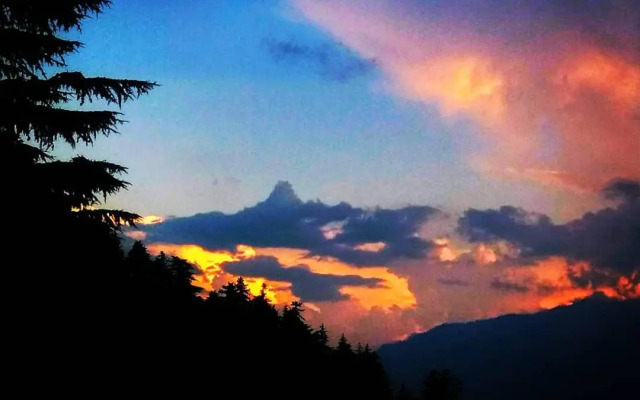 Soham's Chateau De Naggar