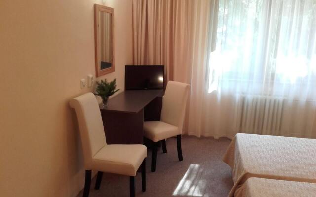 Hotel Bor