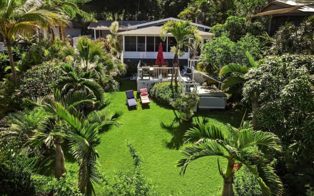 Koana Breeze