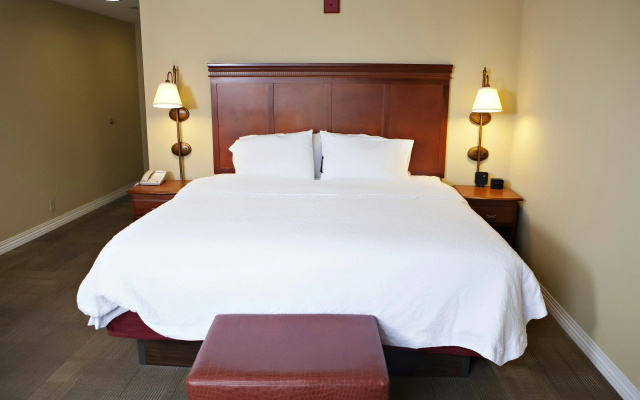 Hampton Inn Martin