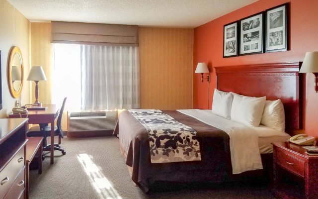 Comfort Inn & Suites Ashland – Richmond North