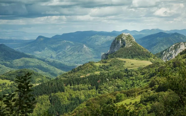 Les Deux Petits Pois