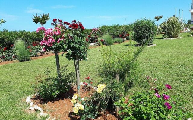 Villa Rosetta