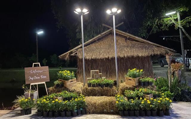 Ing Chan Farm /ไร่อิงจันทร์