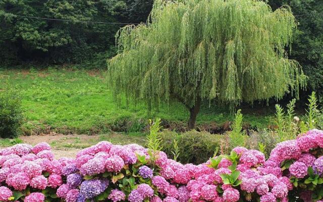 Maison Saint-Quay-Perros, 4 pièces, 6 personnes - FR-1-368-258