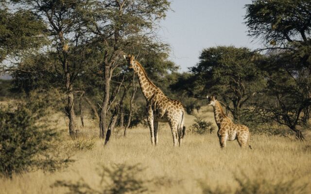 Our Habitas Namibia