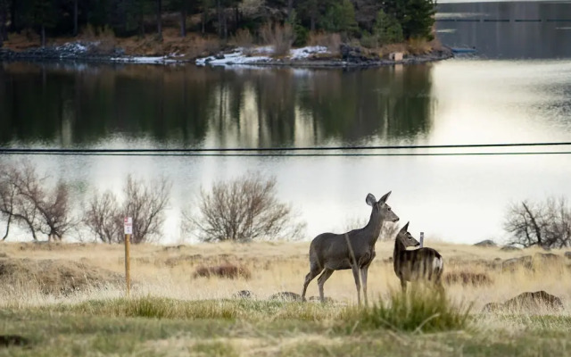 Quiet Mind Mountain Lodge, Retreat and Spa