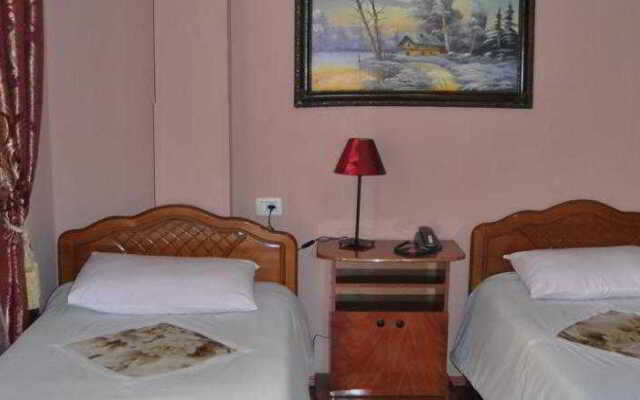Hotel Alpin