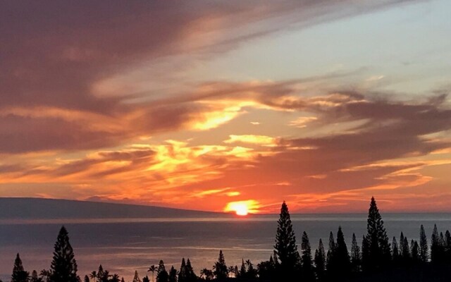 Kapalua Golf S 14p7&8 2 Bedroom Condo