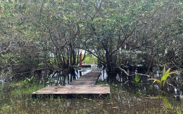 Camaleao Ecopousada Ltda