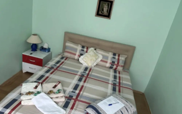 Mavi Ladin Konukevi
