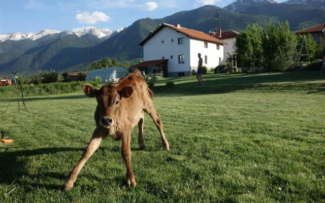 Bio-Hotel Moravsko Village