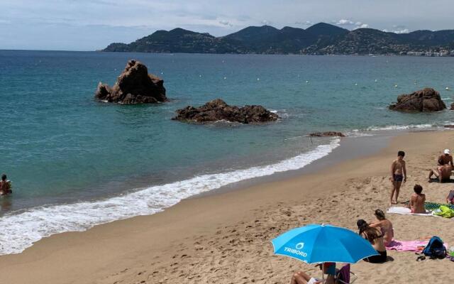 Le Palm Azur