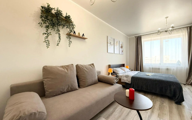 Апартаменты на улице Телевизионная