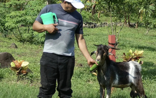 Finca Ometepe