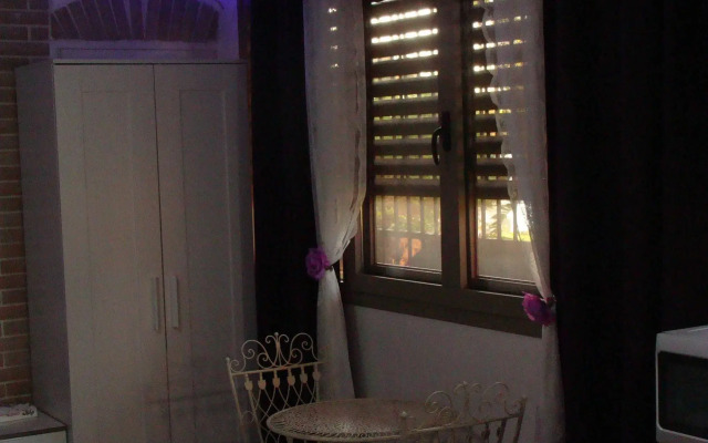 Tamer guest house